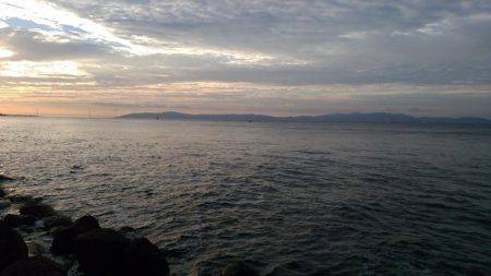 ブリ族は何処へ?