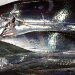 2週振りのリベンジ