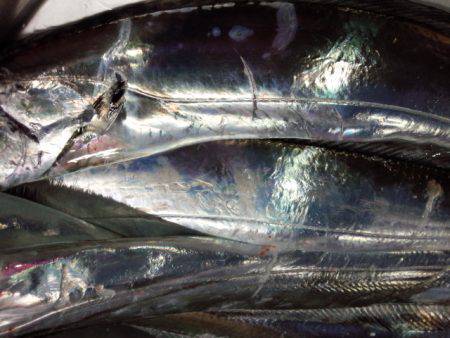 2週振りのリベンジ