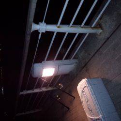 渋いが良型も…