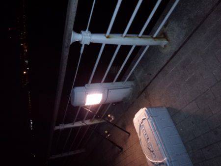 渋いが良型も…