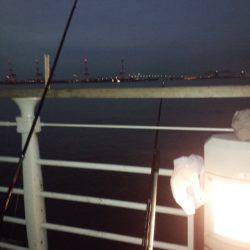 少しサイズダウン？