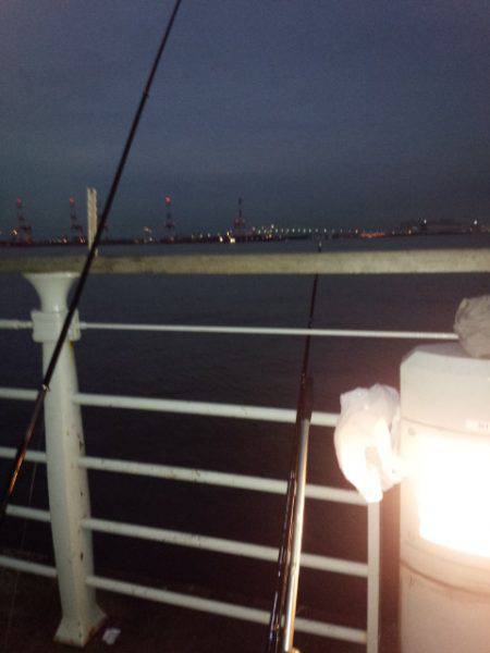 少しサイズダウン？