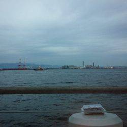 活性悪く・・・