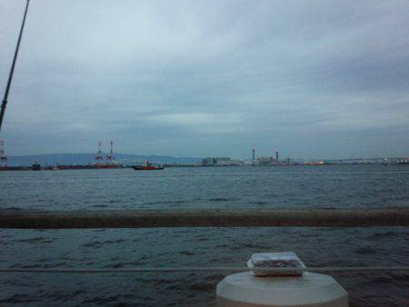 活性悪く・・・