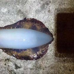 少ないようです。