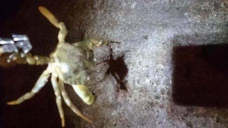 成長してますな。