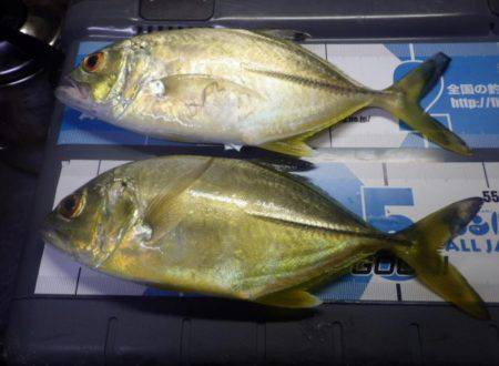 調子 上向き！？