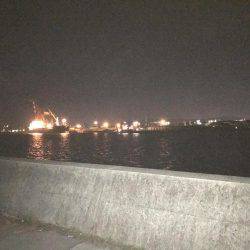 FLAPヘッド握りしめて！