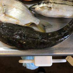 釣果も気温も寒い