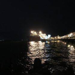 FLAP釣法炸裂で今季最大!