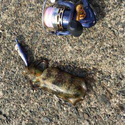 1年振りの丹後半島