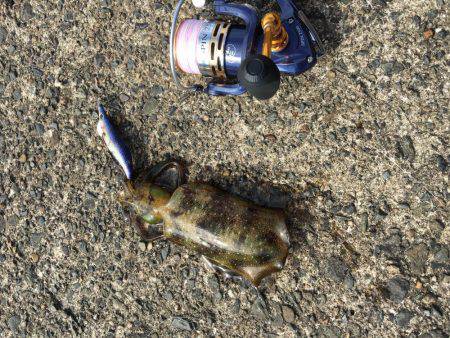 1年振りの丹後半島