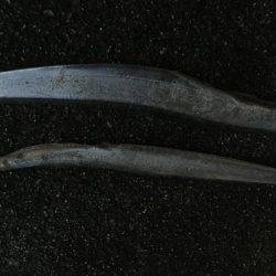 タチウオ釣れました