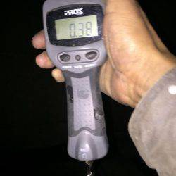 久しぶりにアオリが釣れた〜