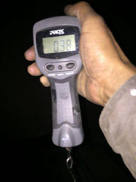 久しぶりにアオリが釣れた〜