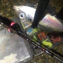 釣れるかな〜❓