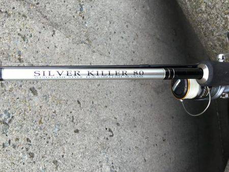 魚より人が多かった