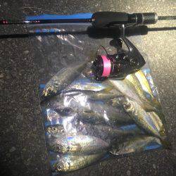 安定のアジング+@