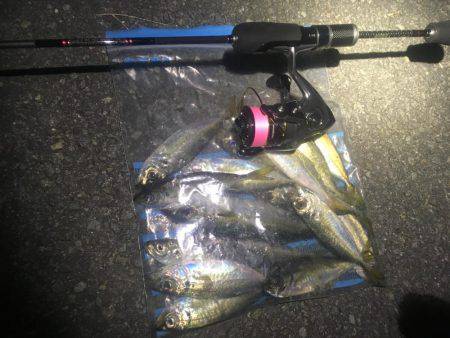 安定のアジング+@