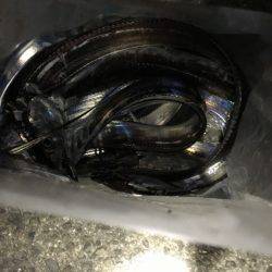 エギング&ワインド