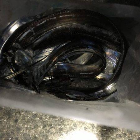 エギング&ワインド