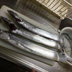 朝まずめ☆太刀魚