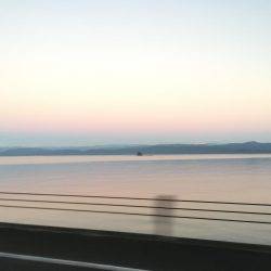 初浜栄丸さんの筏釣り