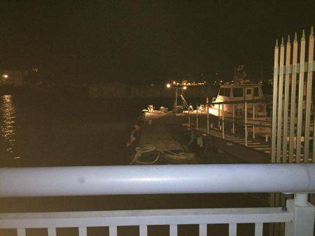 アジング初ゲット