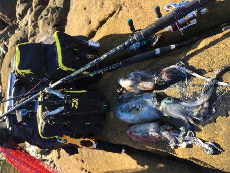 アベレージが良い