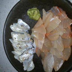 カンパチ＆タチウオ