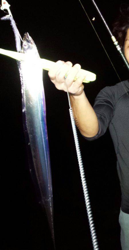 帰ってきた太刀魚!