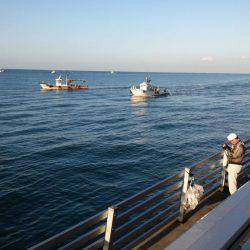 エギング苦しみました