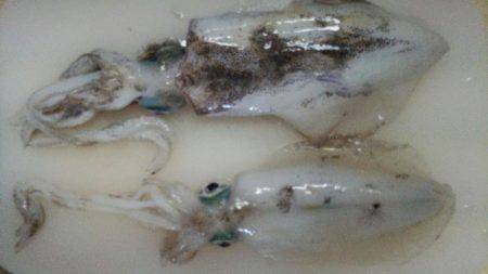 太刀魚がぁ～邪魔する