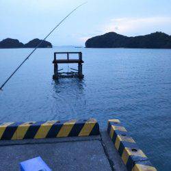 大潟岸壁テンヤでタチウオ&サゴシ