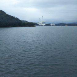 大潟岸壁テンヤでタチウオ