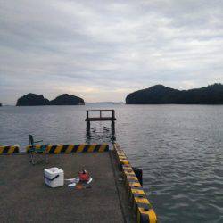 大潟岸壁テンヤでタチウオ