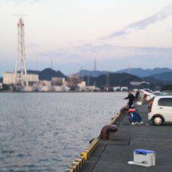 大潟岸壁テンヤでタチウオ