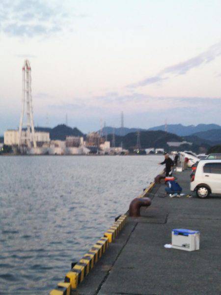 大潟岸壁テンヤでタチウオ