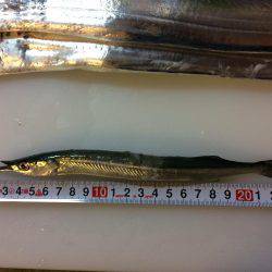 釣りバカばっか