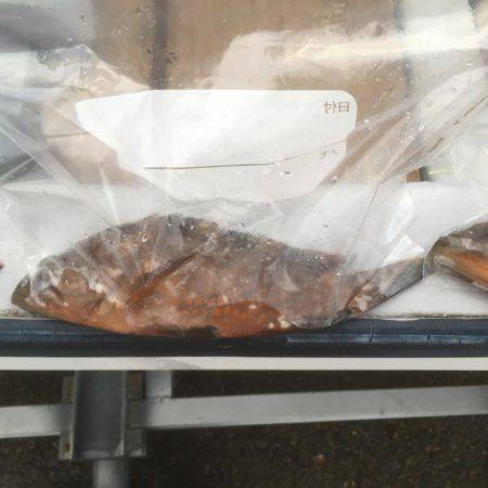 メバルっち遠征