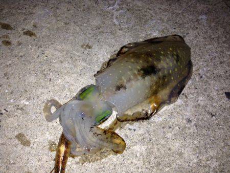 本命はさて置き!!!