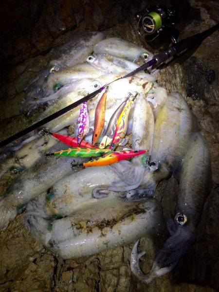 中紀夕マヅメ〜ナイト