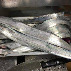 強風の中タチウオ釣りに