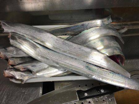 強風の中タチウオ釣りに