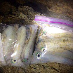 ナイトではポロポロと