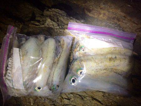 ナイトではポロポロと