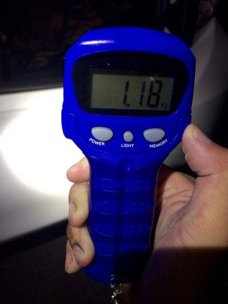 またまた爆風エギング