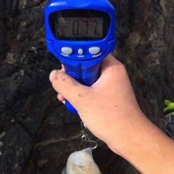 激流ナイトエギング