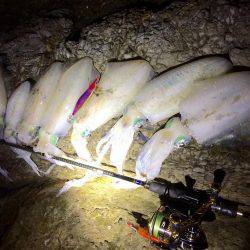 夜中の短時間エギング